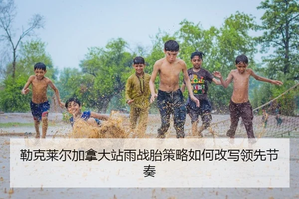 lei-ke-lai-er-jia-na-da-zhan-yu-zhan-tai-ce-lve-ru-he-gai-xie-ling-xian-jie-zou-2-309.jpg